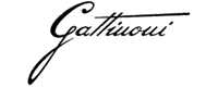 Gattinoni